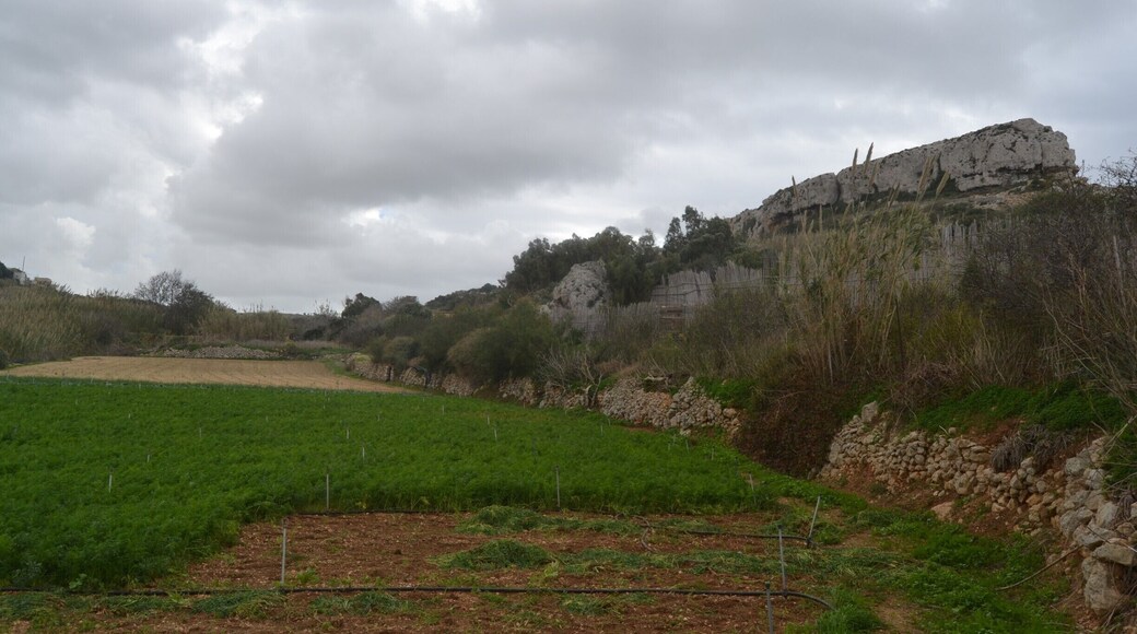 Bahrija Valley is an unspoilt natural area situated beneath the quiet village of Bahrija (which means moth).
The valley is surrounded with wild plants and flowers and also farming land.
#bahrija #valley #rabat #malta
