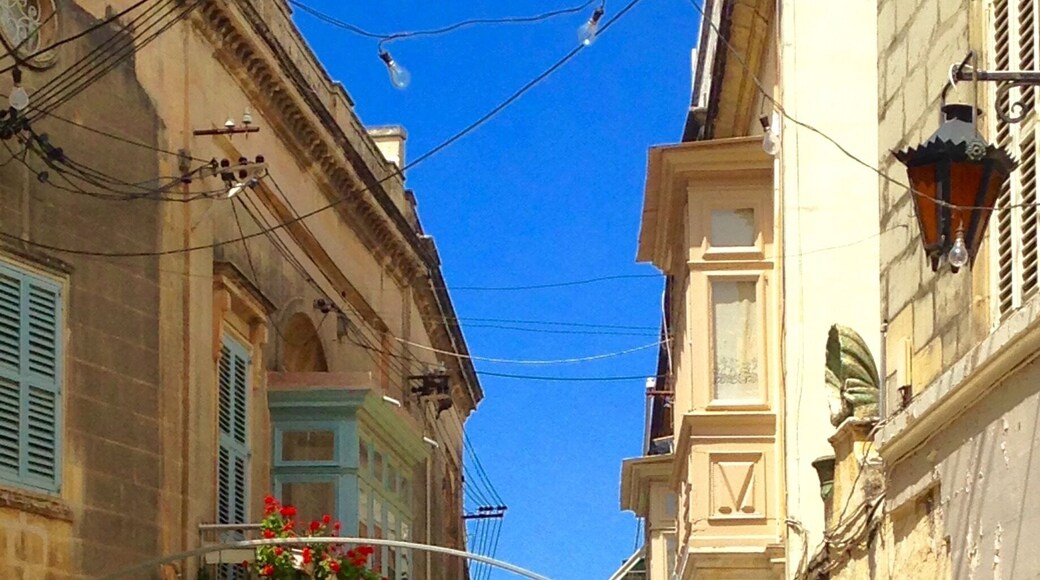 Lovely little street in Rabat, Malta
#green