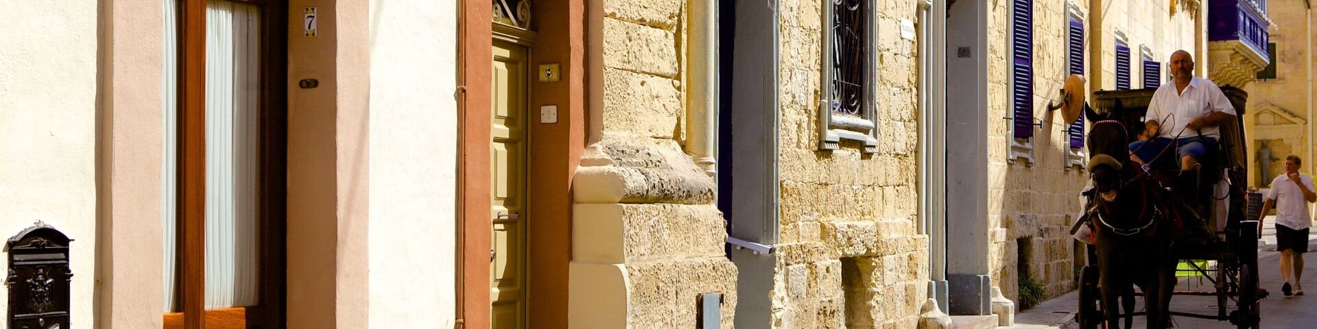 Rabat which includes street scenes, land animals and a house