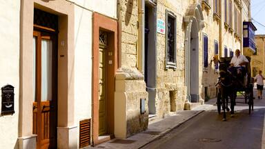 Rabat which includes street scenes, land animals and a house