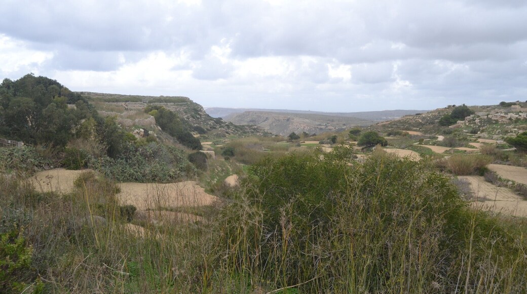 Bahrija Valley is an unspoilt natural area situated beneath the quiet village of Bahrija (which means moth).
The valley is surrounded with wild plants and flowers and also farming land.
#bahrija #valley #rabat #malta