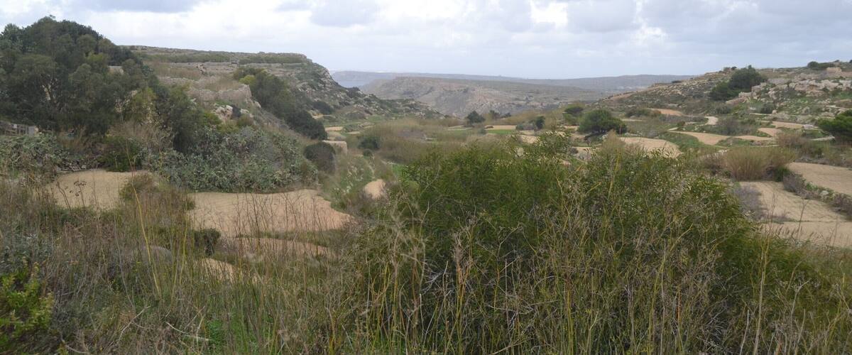 Bahrija Valley is an unspoilt natural area situated beneath the quiet village of Bahrija (which means moth). 
The valley is surrounded with wild plants  and flowers and also farming land.
#bahrija #valley #rabat #malta