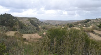 Bahrija Valley is an unspoilt natural area situated beneath the quiet village of Bahrija