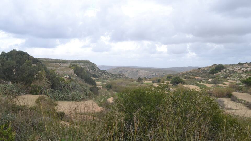 Bahrija Valley is an unspoilt natural area situated beneath the quiet village of Bahrija (which means moth).
The valley is surrounded with wild plants and flowers and also farming land.
#bahrija #valley #rabat #malta