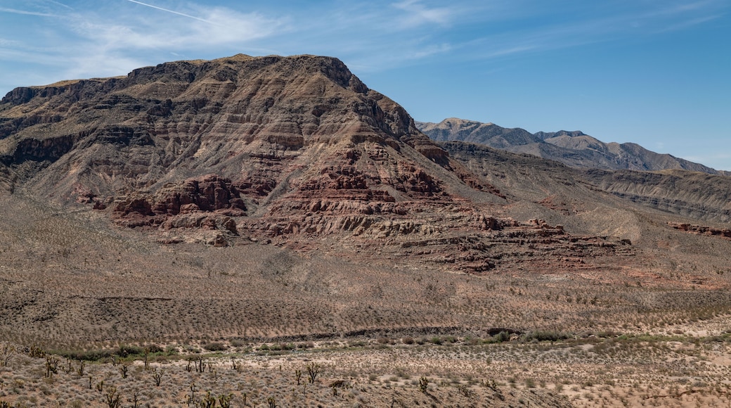 Littlefield