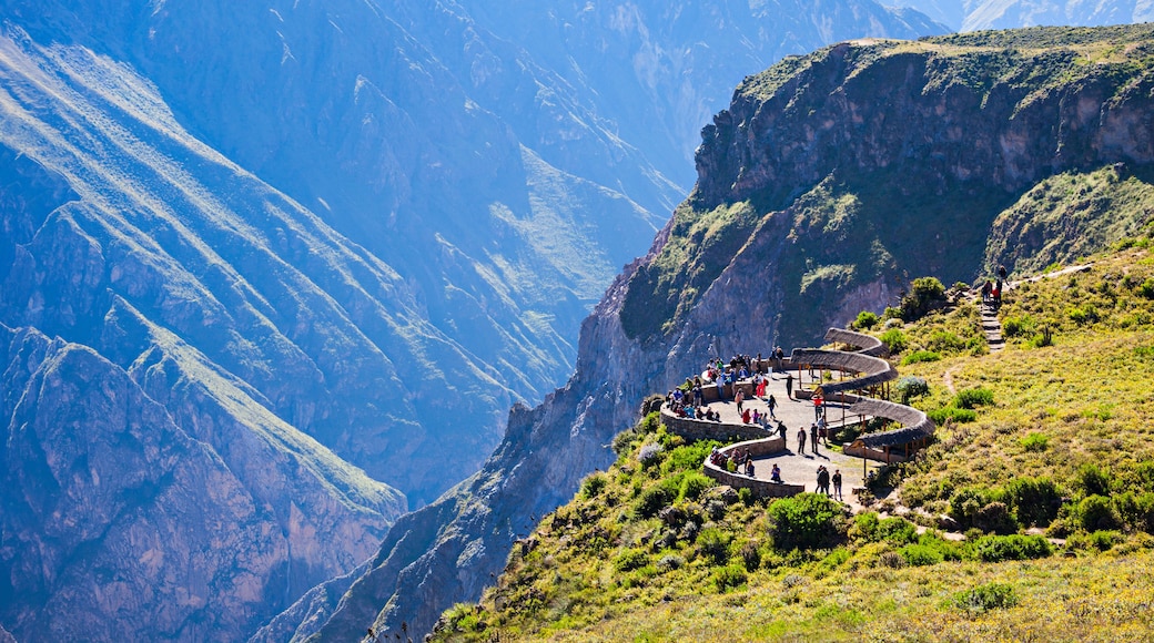A mountainous landscape with a winding path leading to a viewing platform surrounded by lush greenery and steep cliffs.