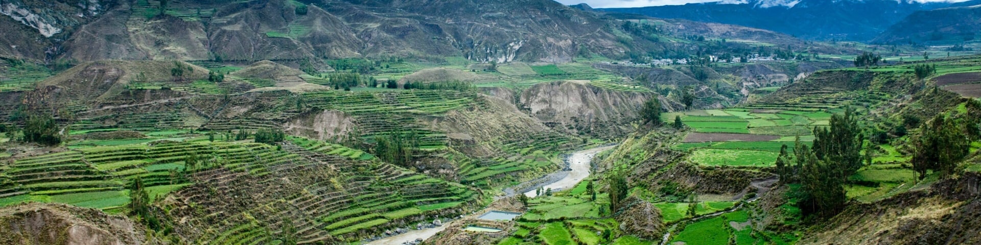 Canyon Colca mostrando um rio ou córrego, fazenda e paisagem