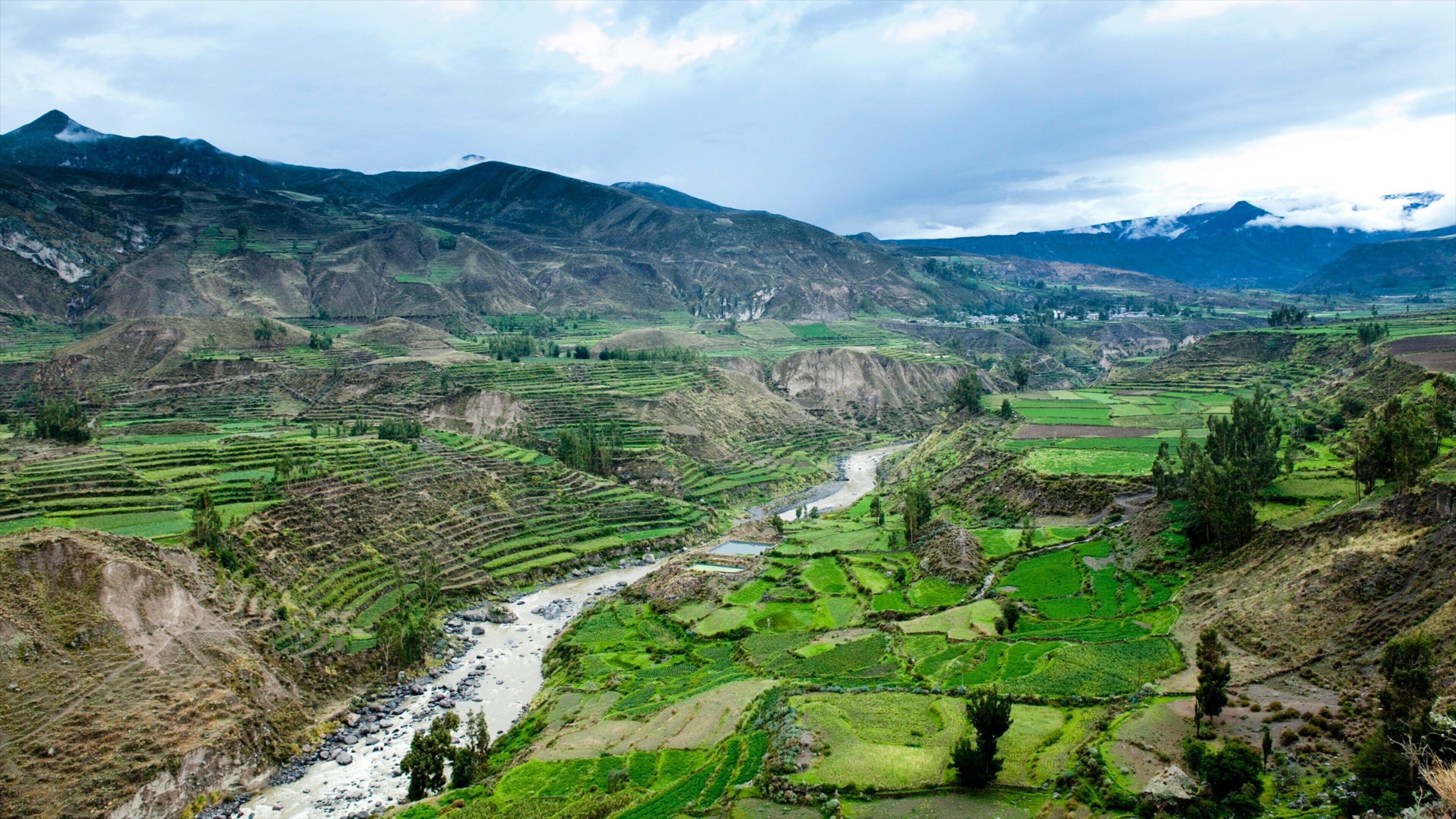 Terraced rice fields, a river, and mountains.