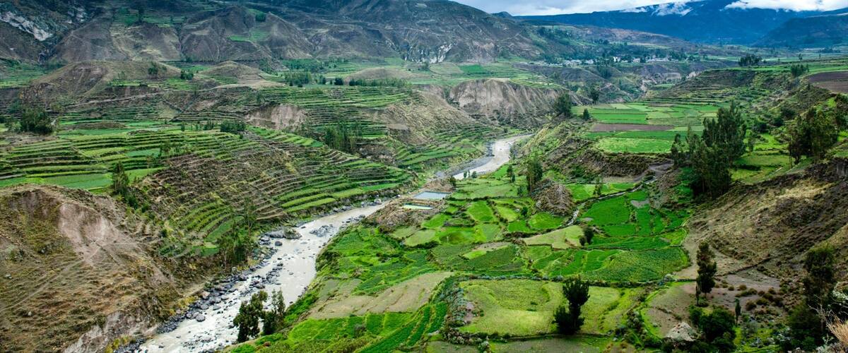 Terraced rice fields, a river, and mountains.