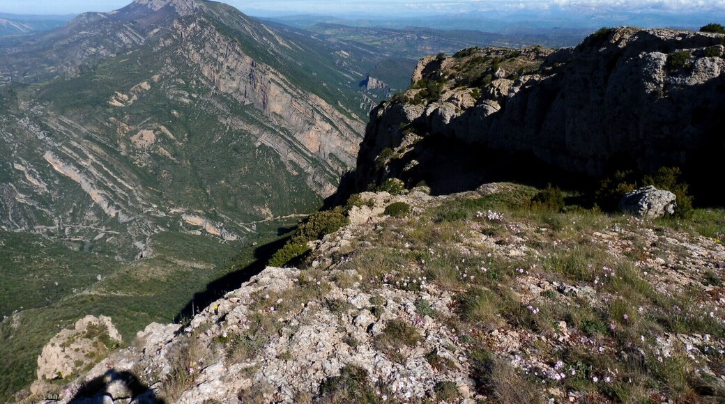 This is a a photo of a natural area in Catalonia, Spain, with id: