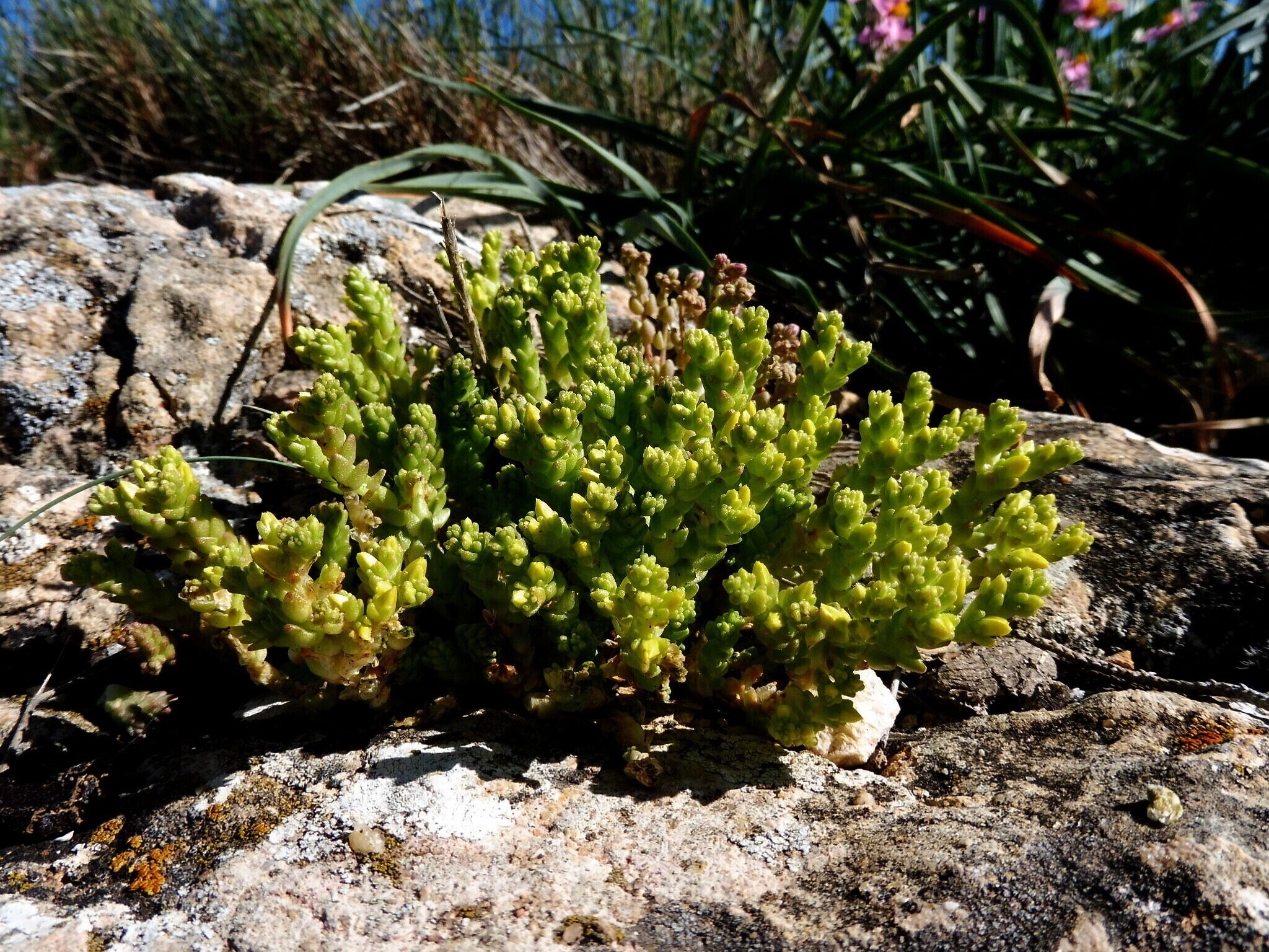 This is a a photo of a natural area in Catalonia, Spain, with id: