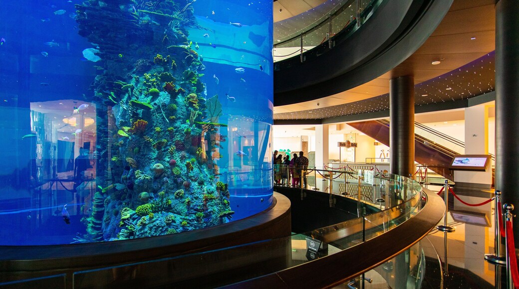Muharraq which includes interior views and marine life