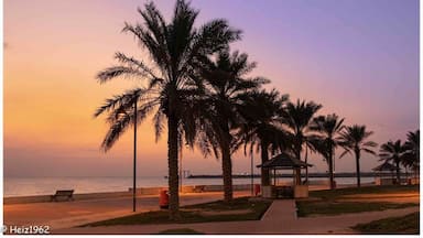 Escena de playa al atardecer con palmeras, un pabellón y una banca.
