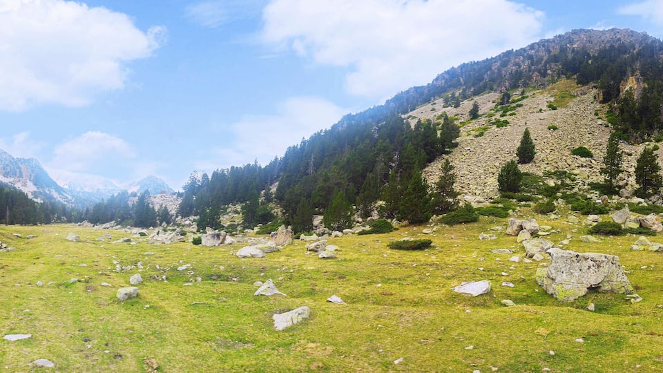 A mountainous landscape with a grassy meadow, scattered rocks, and dense forests.