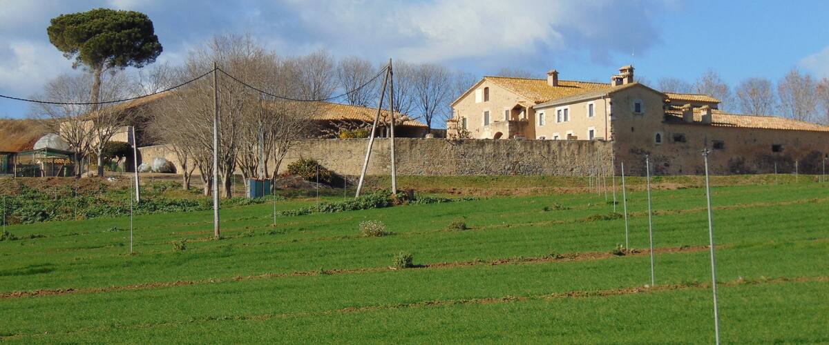 A rural landscape with a large stone wall, a field with green crops, and a traditional building with a tiled roof.