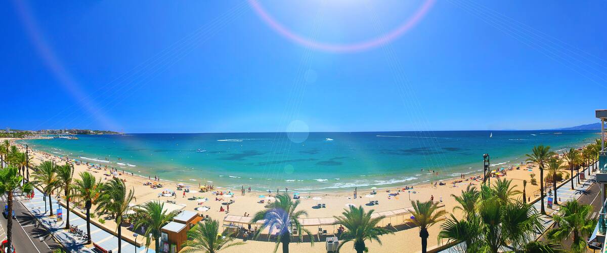 A beach with palm trees, a clear sky, and the ocean.