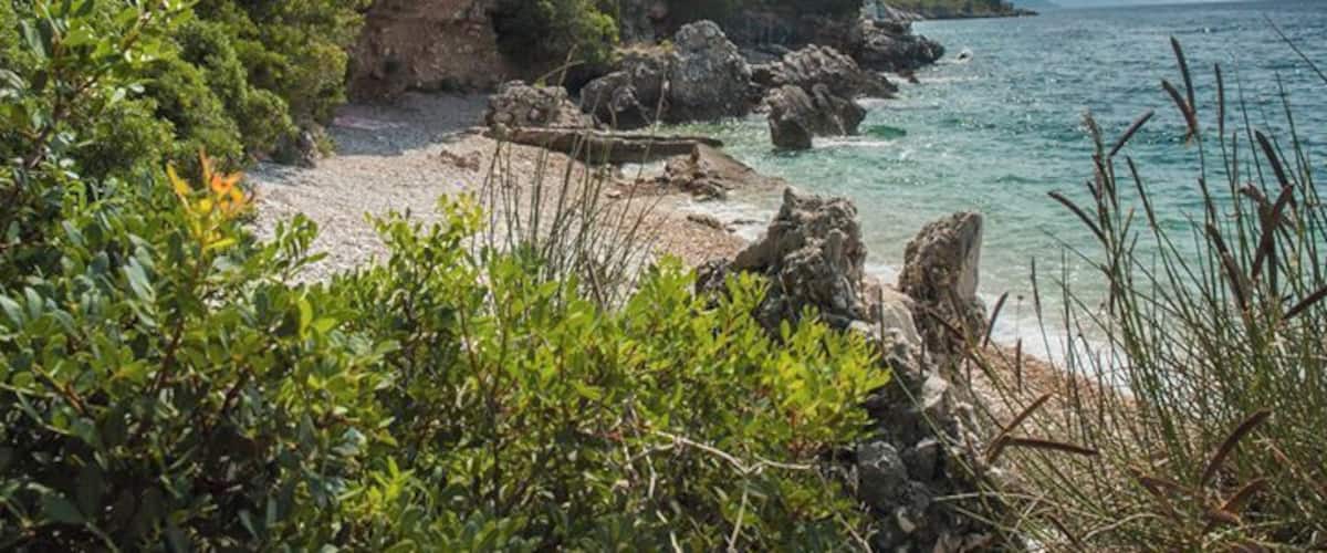 A rocky shoreline with clear turquoise water, dense green foliage, and distant mountains.