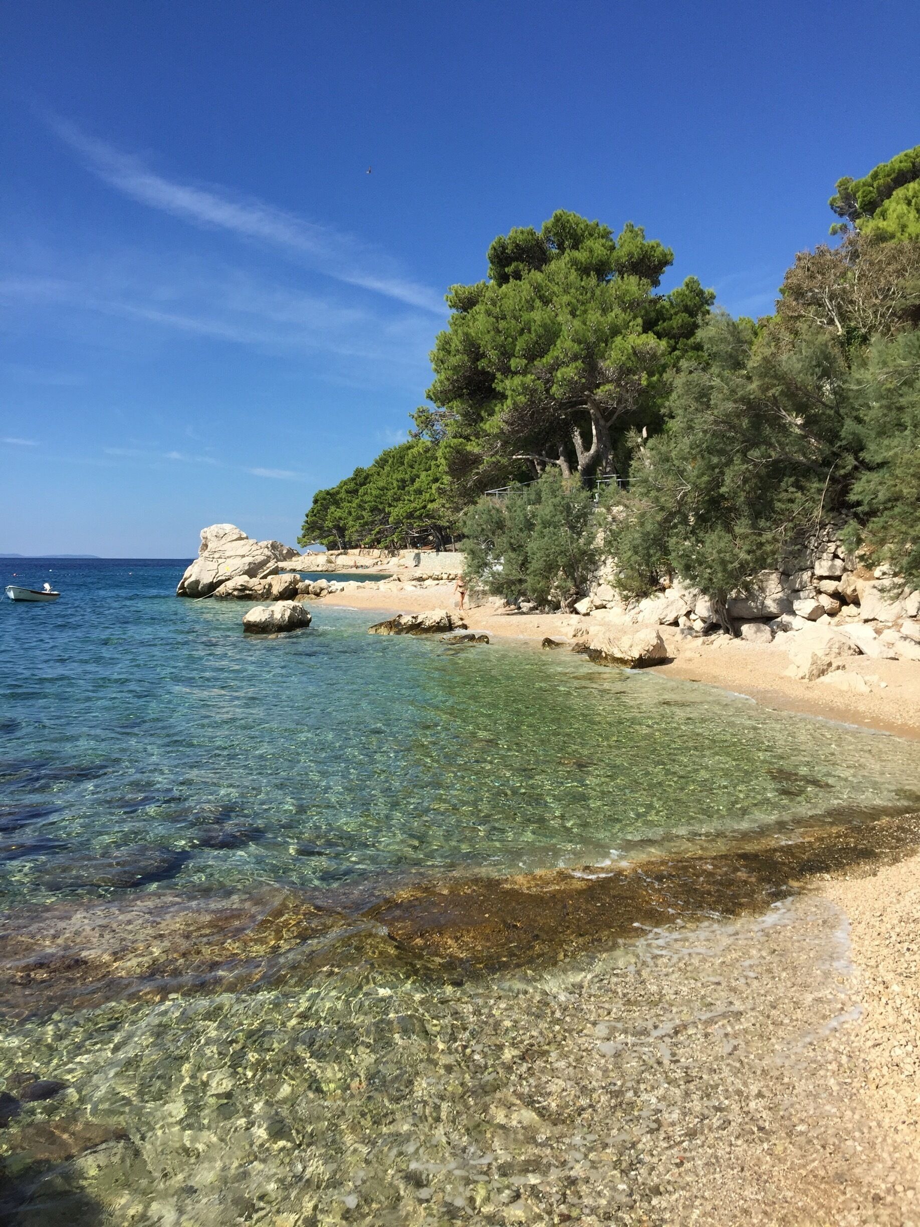 A clear coastal beach with rocky outcrops and dense green trees.
