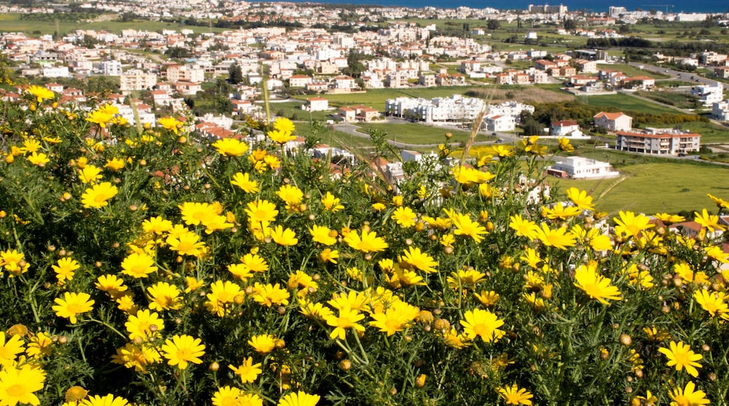 Landscape from a hill looking Voroklini village in Cyprus and blue sky