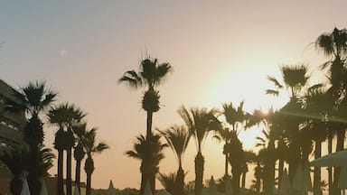 Early riser....beautiful morning here in Cyprus.