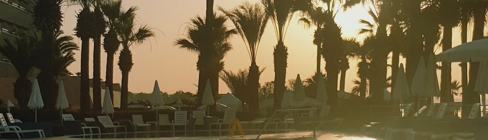 Early riser....beautiful morning here in Cyprus.