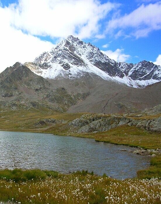 A mountain range with snow-capped peaks, a lake, and a field of white flowers.