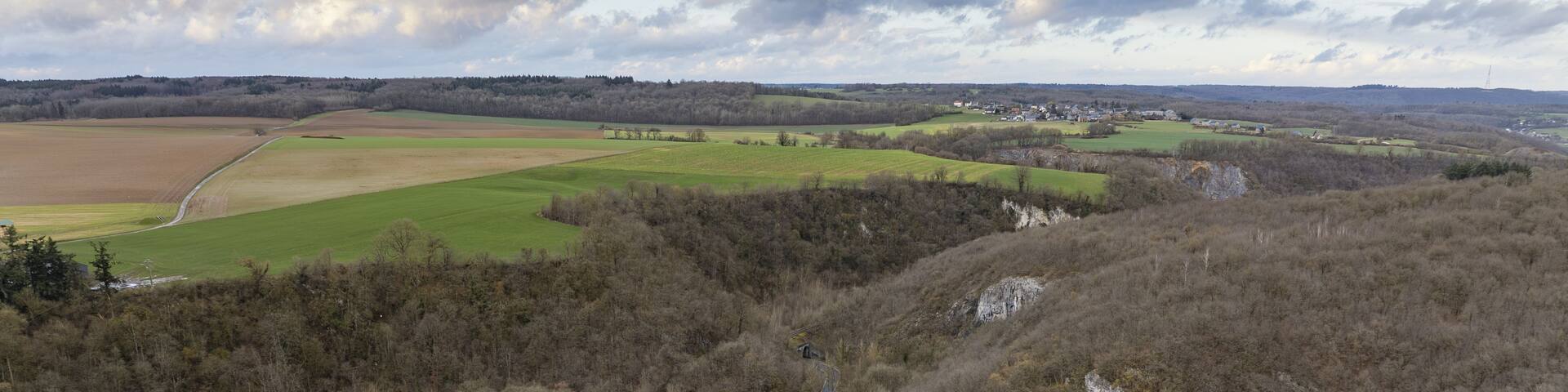A castle ruin surrounded by forested hills and fields.