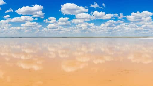 ๋ณผ๊ณ ๊ทธ๋ผ๋