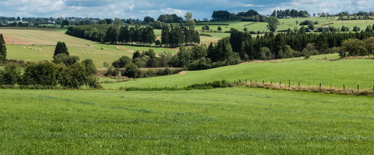 Rolling green hills, a line of trees, and a distant farmhouse.