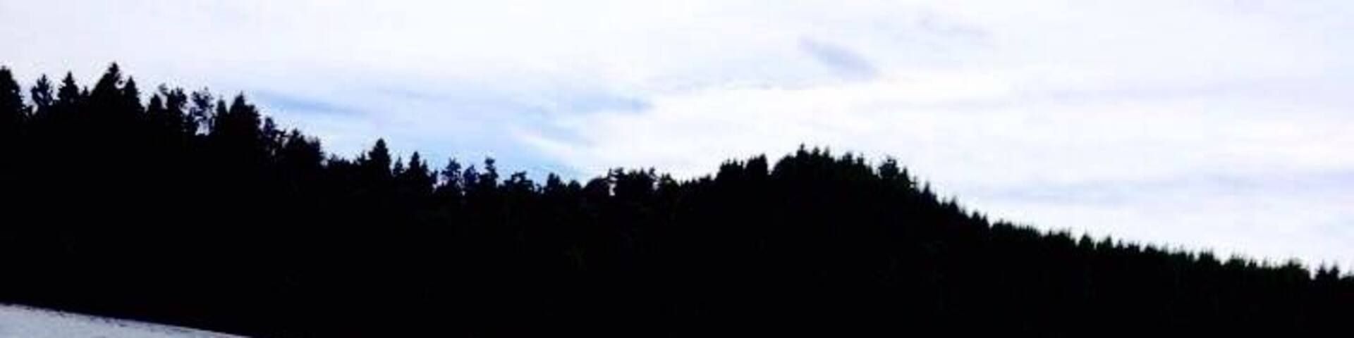 Lac de robertville. Situé dans les hautes fagnes. Dépaysement.
8€ l'entrée pour un sentiment de vide total.
🌲💟 🇧🇪 Wallonie