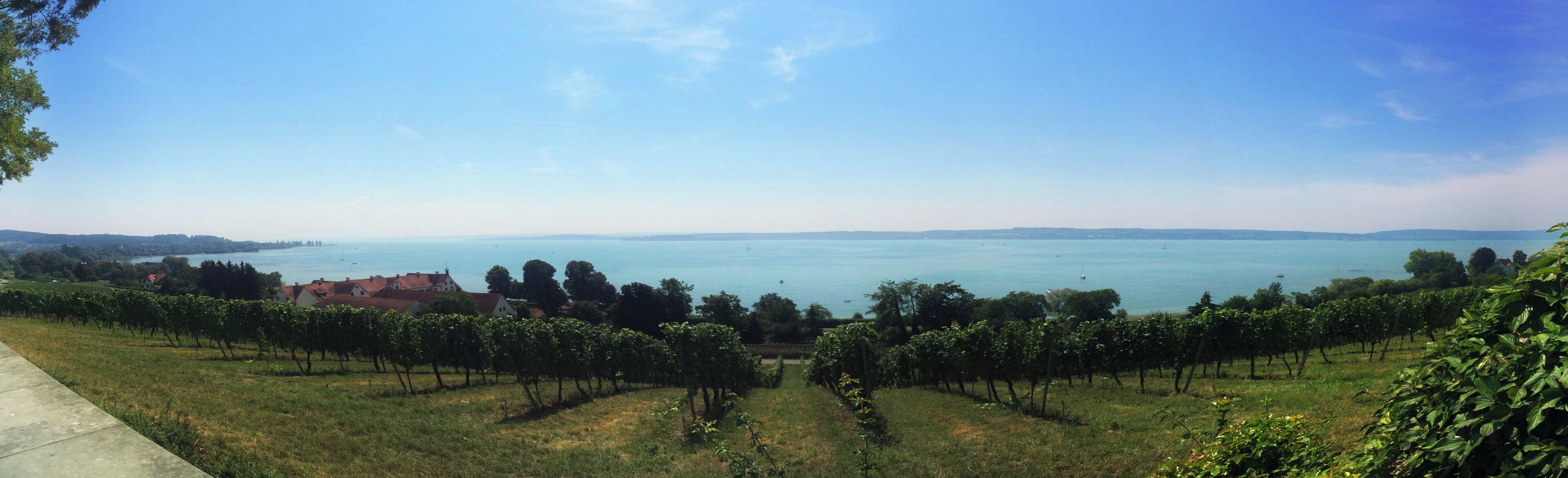 Bodensee Panorama