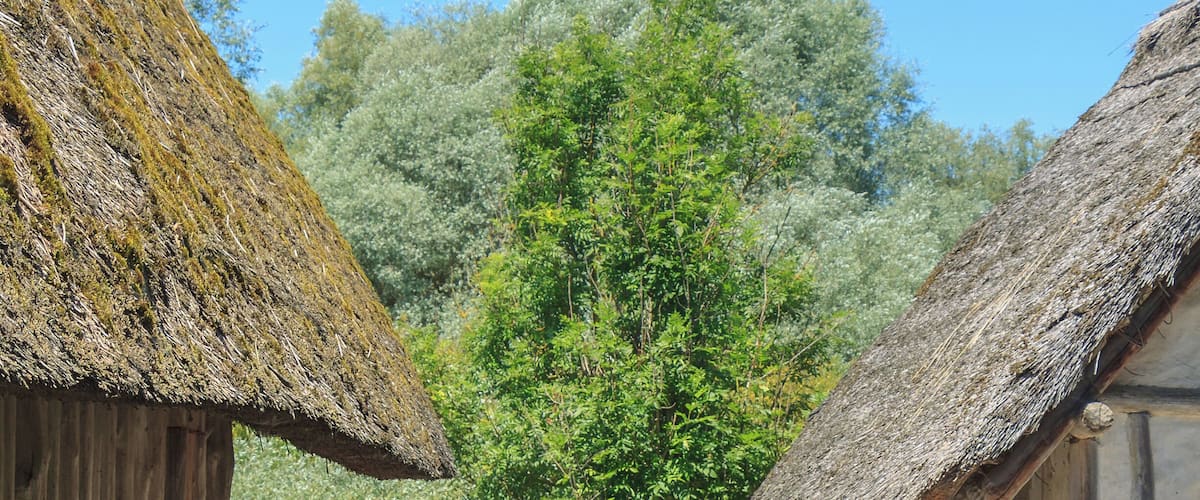 Part of the Stone Age Village Sipplingen, Pfahlbaumuseum Unteruhldingen, Uhldingen-Mühlhofen, Lake Constance, Germany