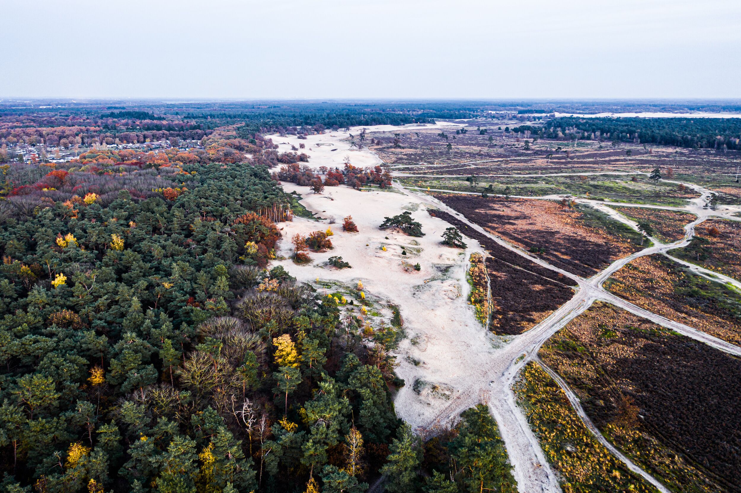An aerial view from above on national park Loonse en Drunense duinen during fall near Loon op Zand, Brabant, Netherlands