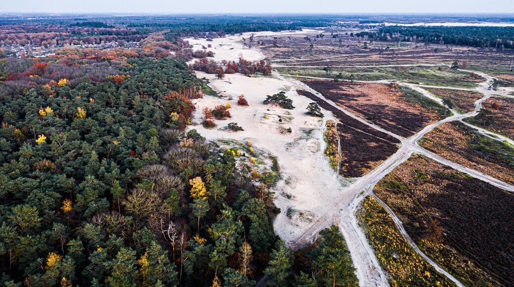 An aerial view from above on national park Loonse en Drunense duinen during fall near Loon op Zand, Brabant, Netherlands