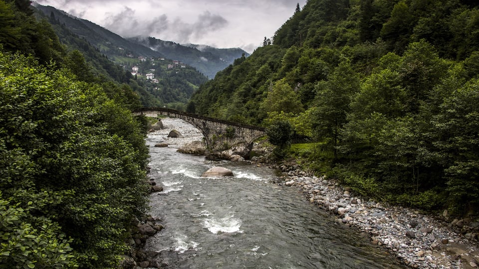 A river flowing through a valley with a stone bridge, surrounded by dense green forest and mountains in the background.