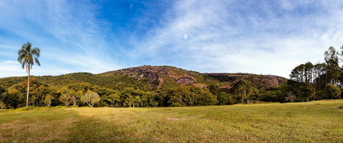 A grassy field with a mountain in the background.