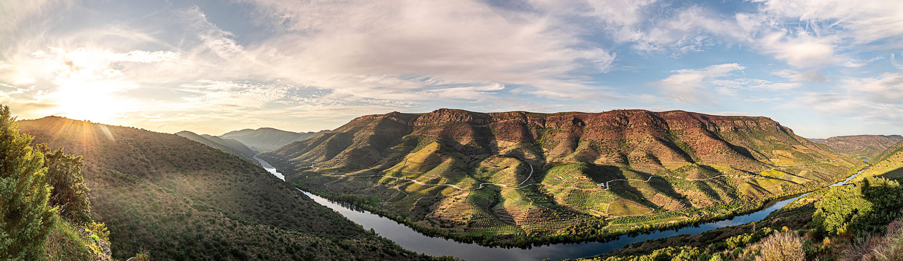 A valley with terraced vineyards and a river.