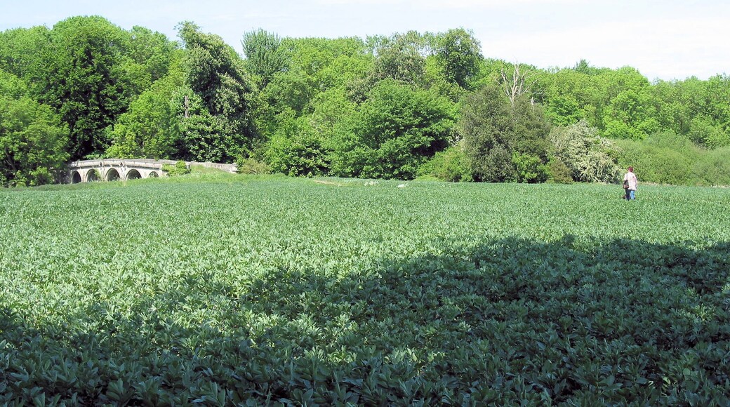 Newsham Bridge from the banks of Newsham Lake