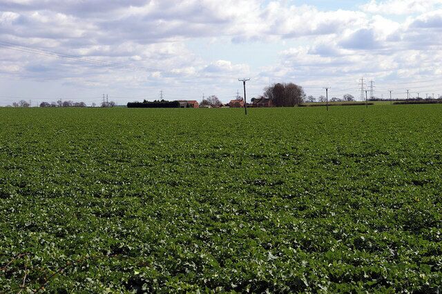 Looking towards Frogmore Farm. Picture taken from Station Road looking approx. southeast towards Frogmore Farm.