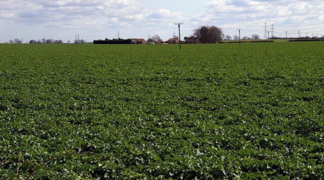 Looking towards Frogmore Farm. Picture taken from Station Road looking approx. southeast towards Frogmore Farm.