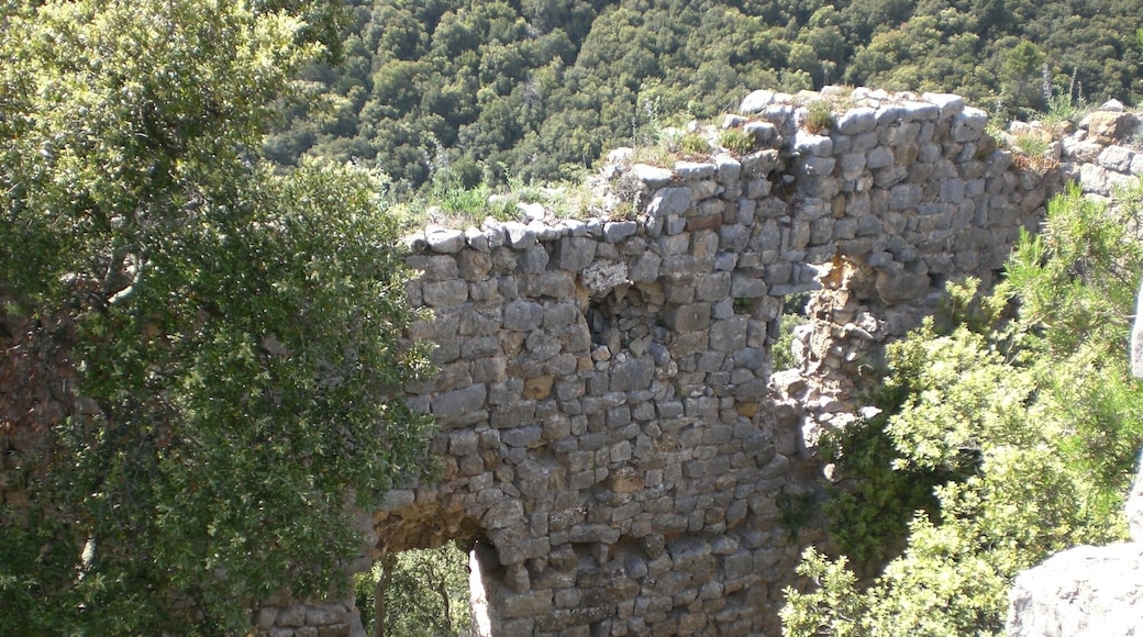 El Castellot, Beuda (maig 2011)