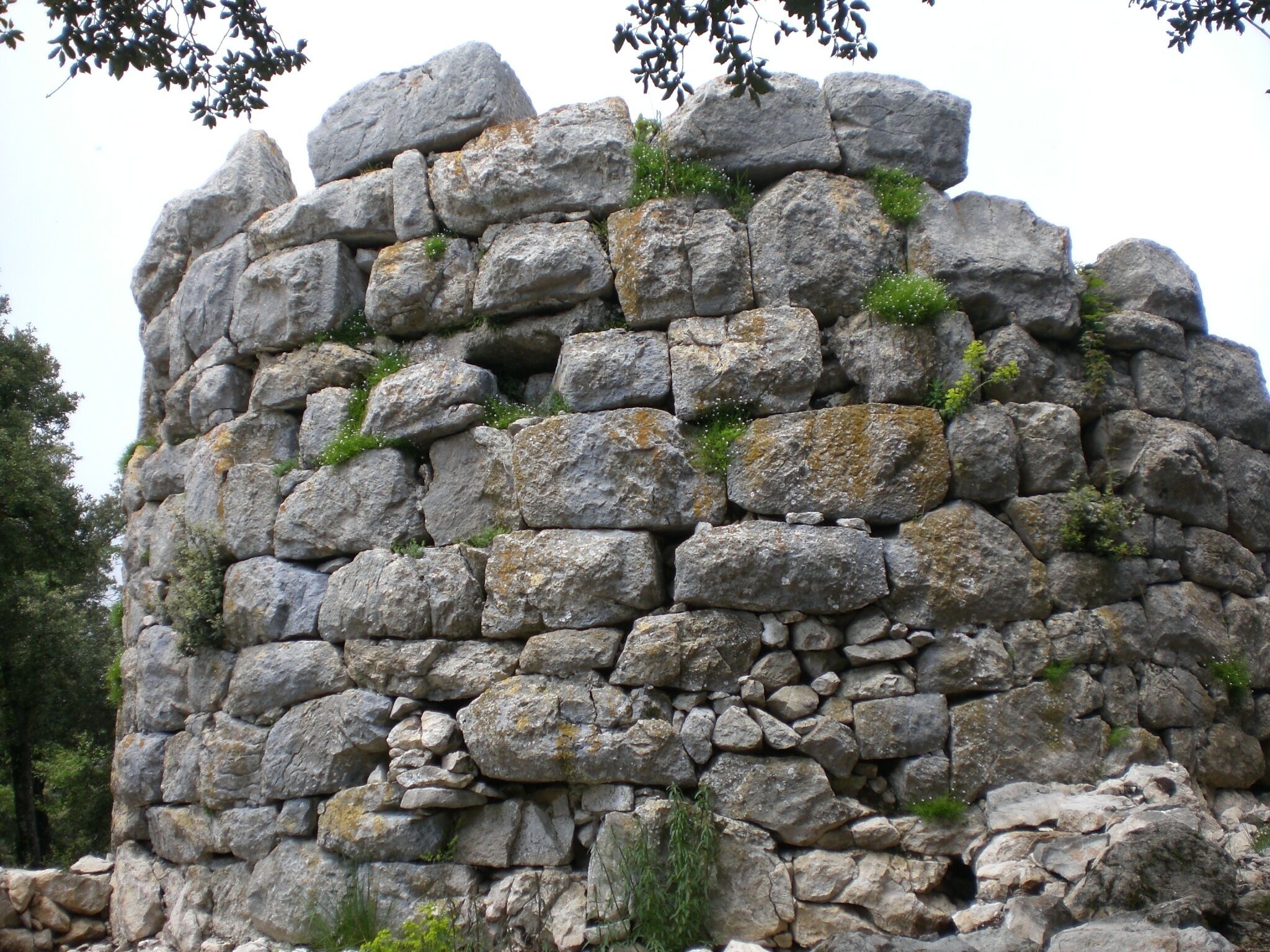 Castellot de Falgars (maig 2011)