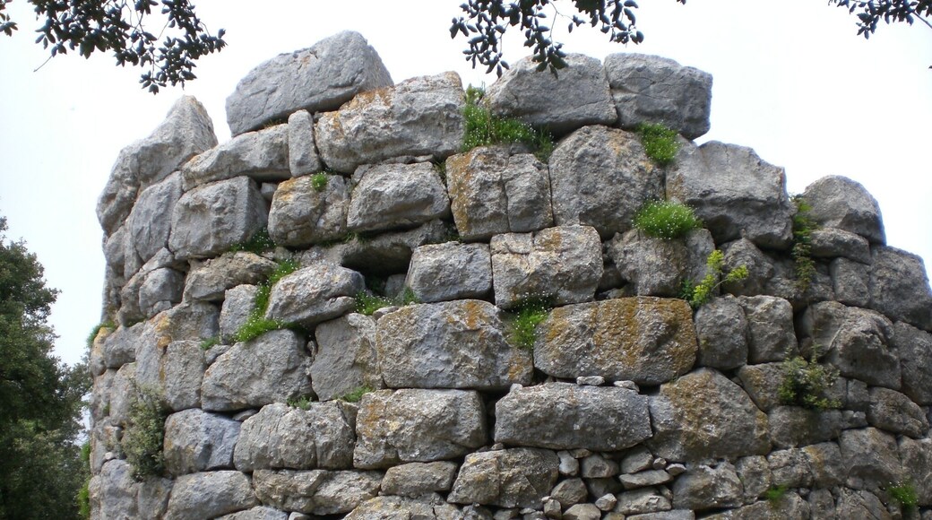 Castellot de Falgars (maig 2011)