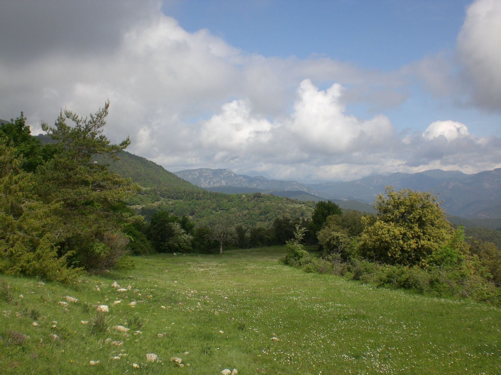 Bac de Falgars (maig 2011)