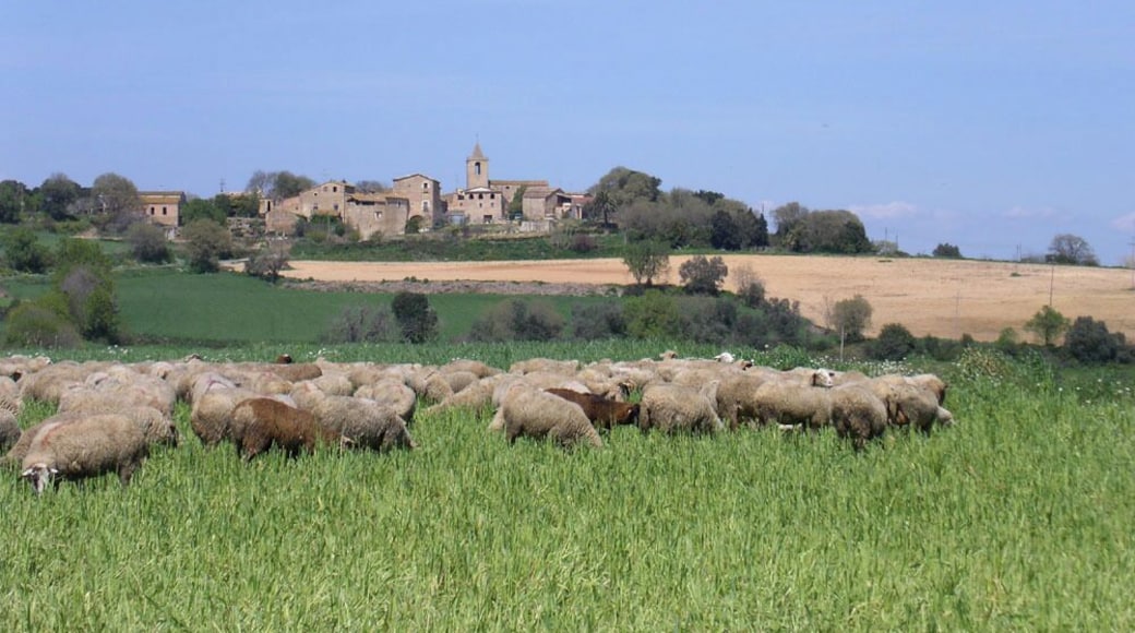 Sant Esteve de Guialbes