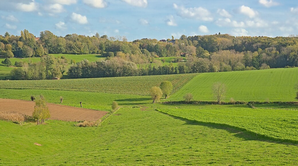 rolling hills with green meadows and autumnal forest under a blue sky in Flemish Ardennes region near Ronse, Flanders, Belgium