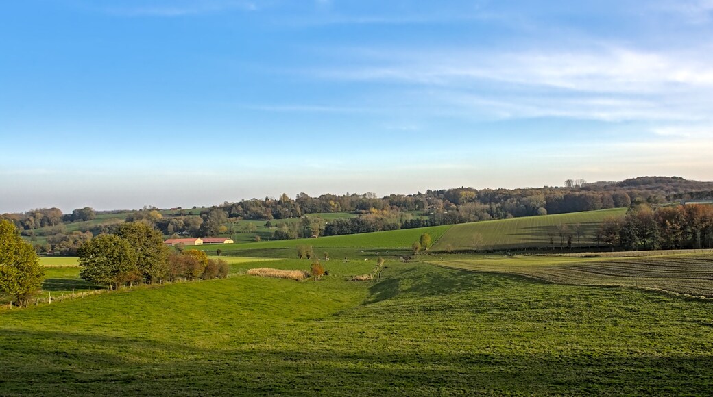 Green fields and autumnal forest under a blue sky in Flemish Ardennes region near Ronse, Flanders, Belgium