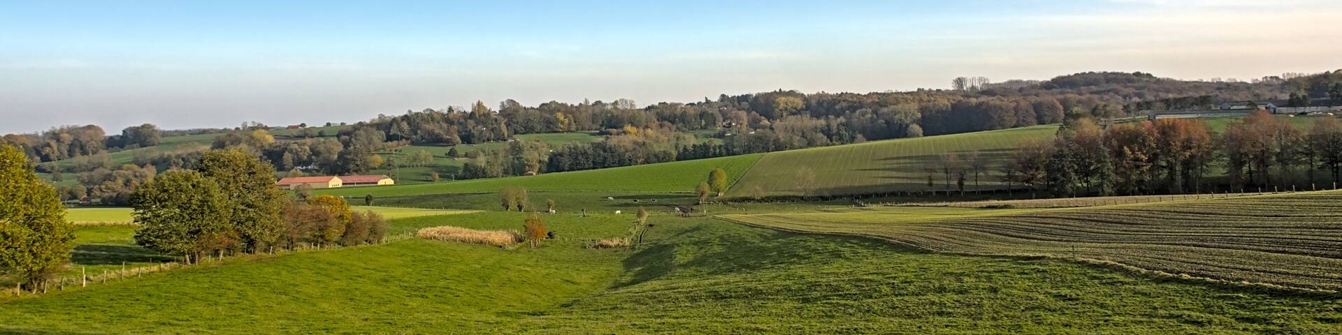 Green fields and autumnal forest under a blue sky in Flemish Ardennes region near Ronse, Flanders, Belgium