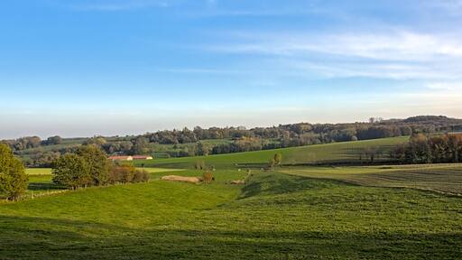 Green fields and autumnal forest under a blue sky in Flemish Ardennes region near Ronse, Flanders, Belgium