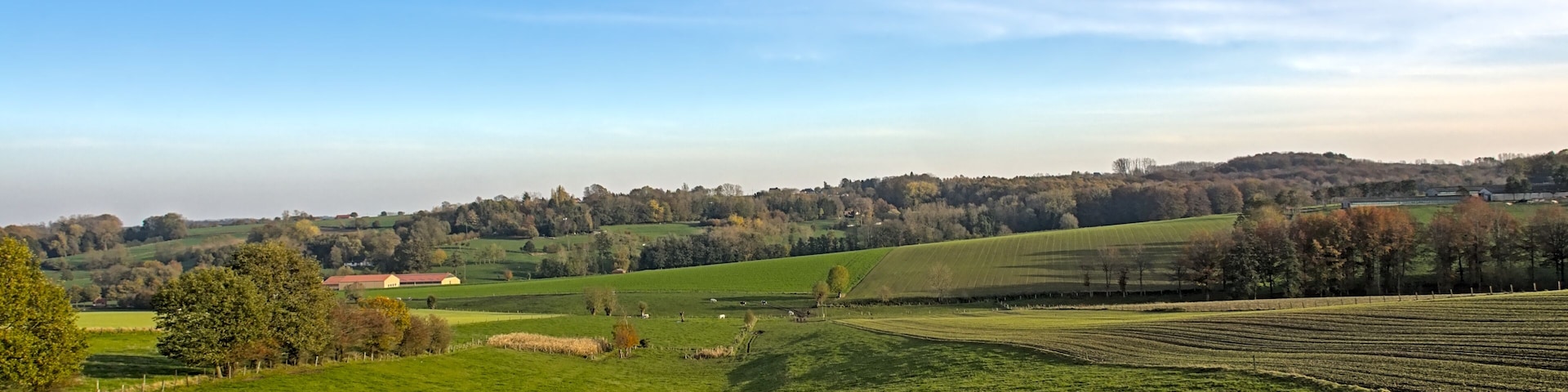 Green fields and autumnal forest under a blue sky in Flemish Ardennes region near Ronse, Flanders, Belgium